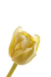 Similar image 2882500