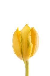 Similar image 2882501