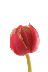 Similar image 2882508