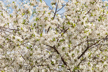 Similar image 2882533