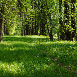 Similar image 2882535