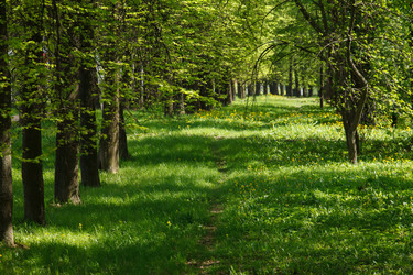 Similar image 2882537