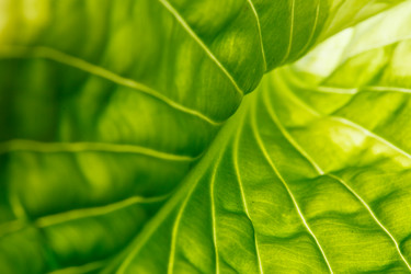 Similar image 2882558