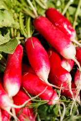 Similar image 2882569