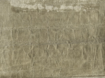 Similar image 2882579