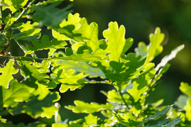 Similar image 2882586