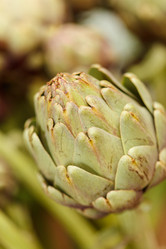 Similar image 2882593