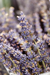 Similar image 2882594