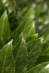 Similar image 2882595