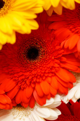 Similar image 2882598