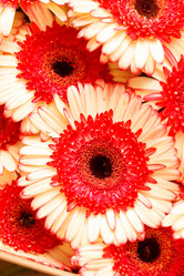 Similar image 2882599