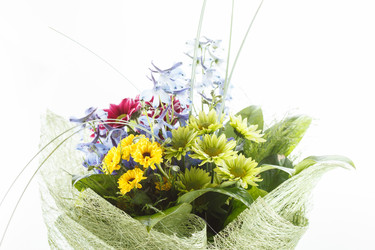 Similar image 2882601