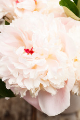 Similar image 2882609