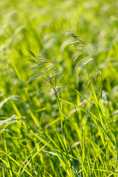 Similar image 2882652