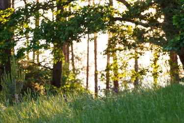 Similar image 2882654