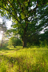 Similar image 2882655