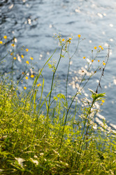 Similar image 2882656