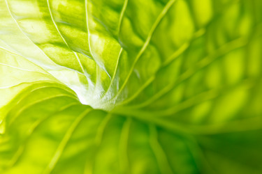 Similar image 2882666