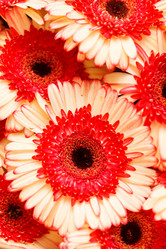 Similar image 2882689