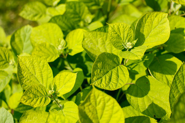 Similar image 2882698