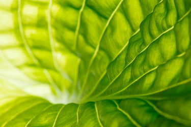 Similar image 2882710