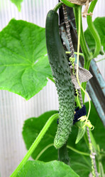 Similar image 2882711