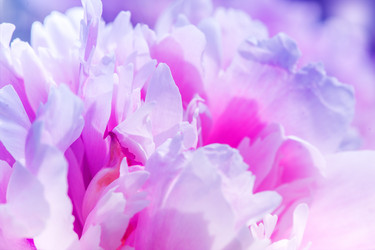 Similar image 2882719