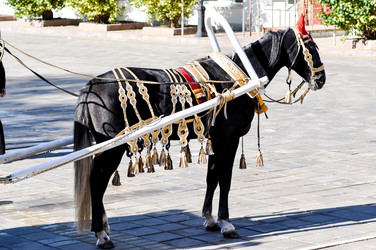 Similar image 2882828