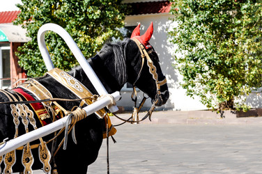 Similar image 2882831