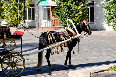 Similar image 2882832