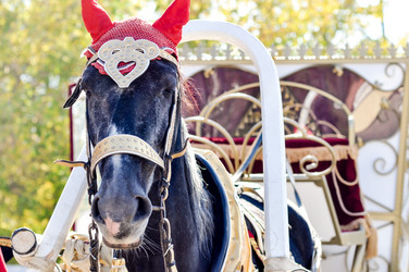 Similar image 2882833