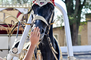 Similar image 2882836