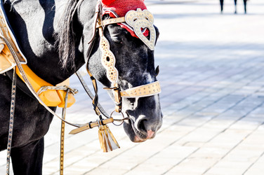 Similar image 2882837