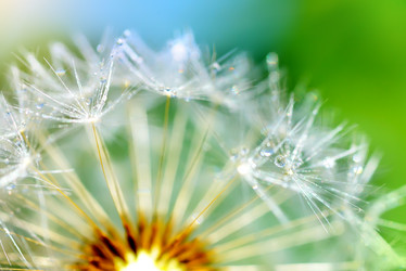 Similar image 2882881