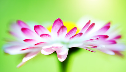 Similar image 2882890