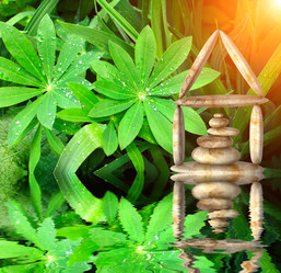 Similar image 2882968