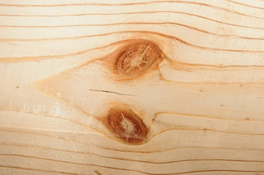 Similar image 2883082