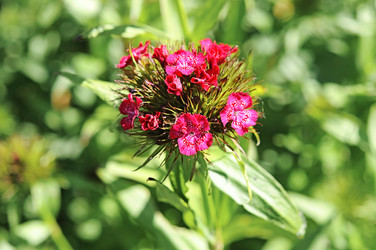 Similar image 2883102