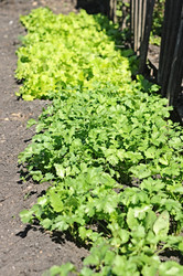 Similar image 2883105