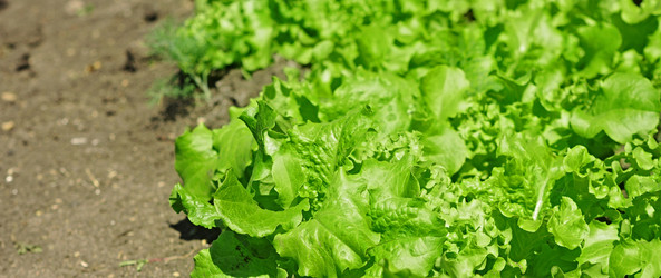 Similar image 2883110