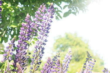 Similar image 2883114