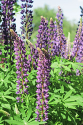 Similar image 2883115