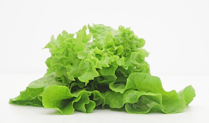 Similar image 2883133