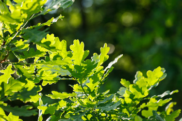 Similar image 2883191