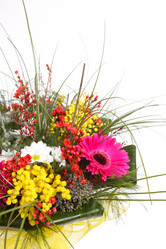 Similar image 2883192