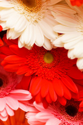 Similar image 2883202