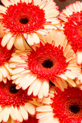 Similar image 2883203