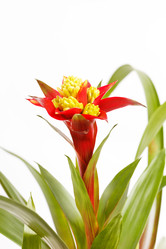 Similar image 2883207