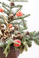 Similar image 2883209