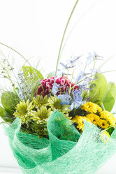 Similar image 2883216